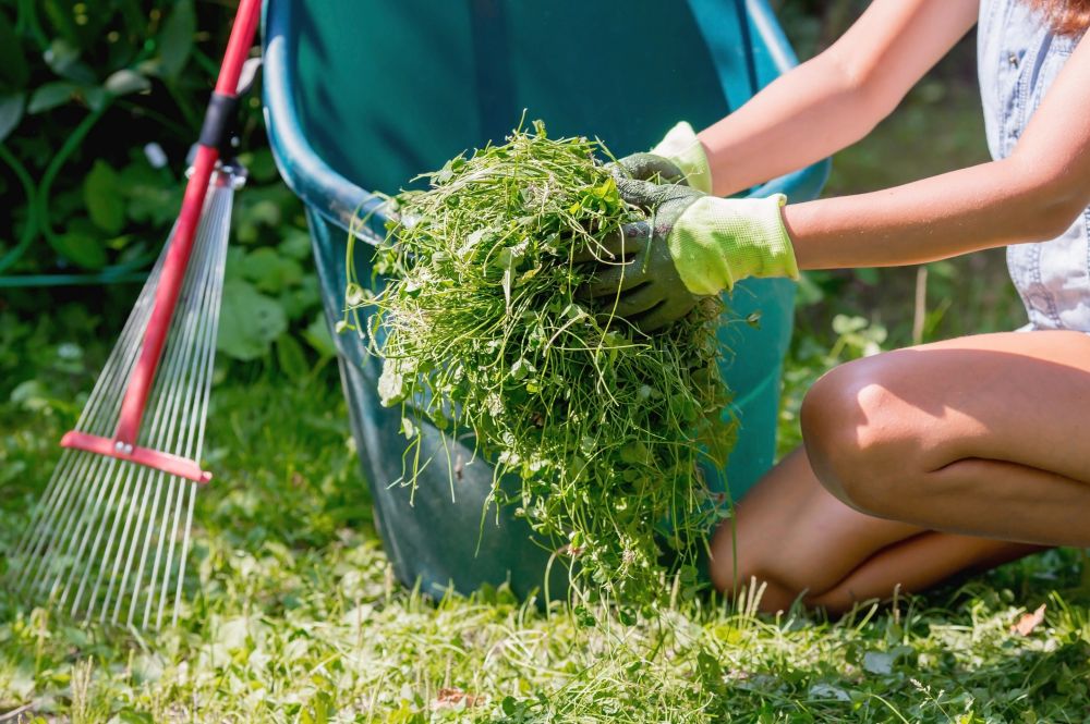 Yard Cleaning Service