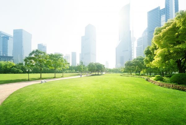 Commercial Landscape Maintenance