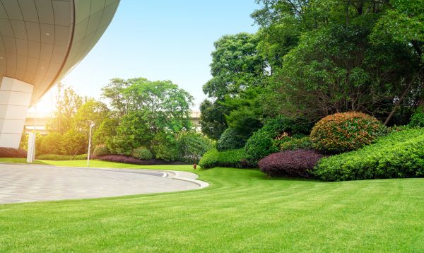 Commercial Lawn Care in Tyler