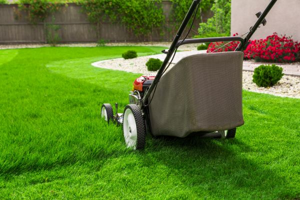 Grass Mowing in Tyler