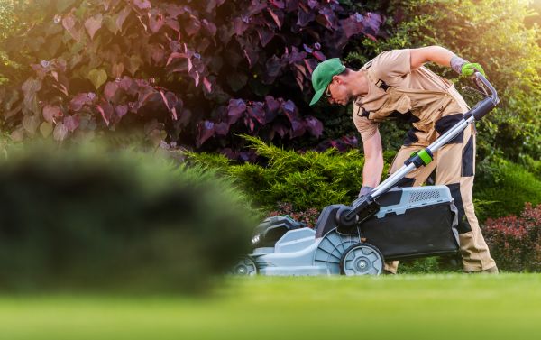Lawn Care And Maintenance in Tyler
