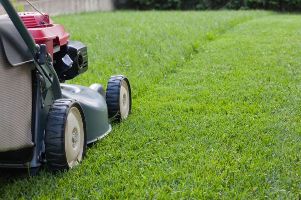 Lawn Care Service in Tyler