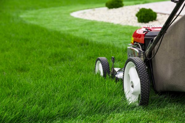 Mowing Service in Tyler
