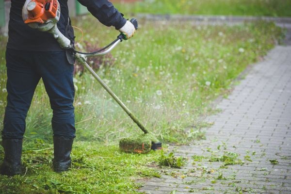 Weed Trimming Service
