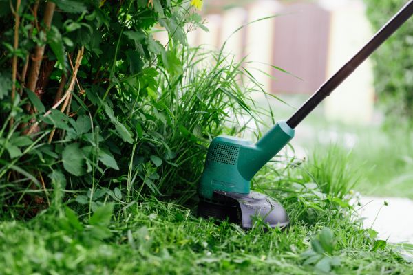 Weed Whacking in Tyler