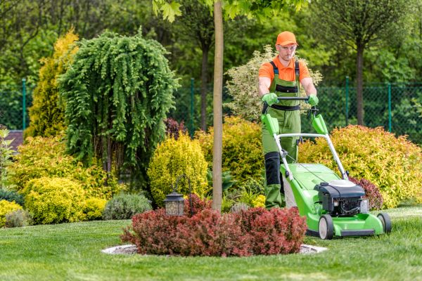 Yard Service in Tyler