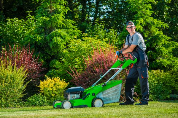 Yard Work Service in Tyler