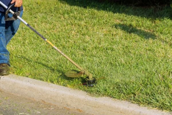Lawn Trimming