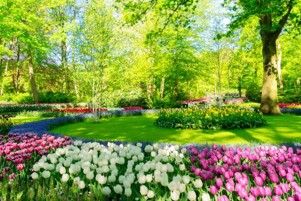 Cost of Spring Lawn Care in Tyler