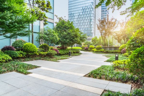 Urban Landscaping