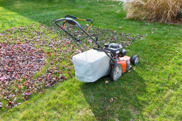 Seasonal Lawn Care in Tyler