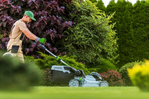 Lawn Management in Tyler