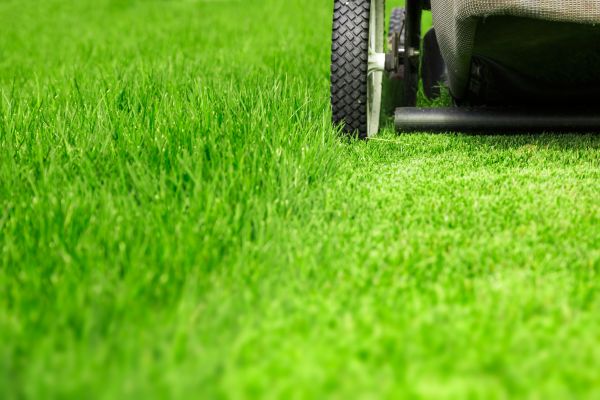Weekly Lawn Care in Tyler