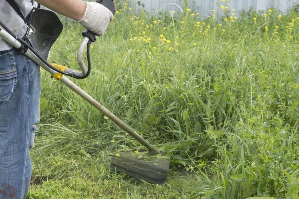 Excessive Grass Trimming