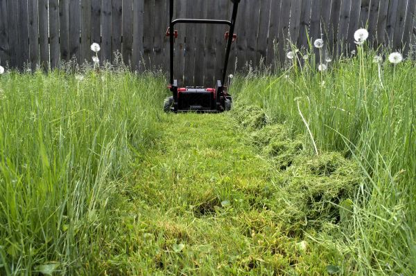 High Grass Mowing in Tyler
