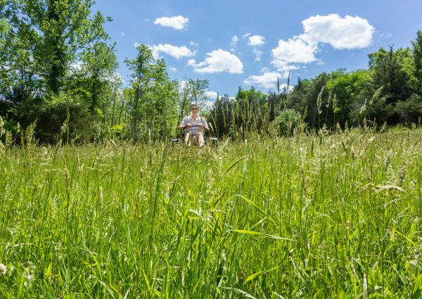 Long Grass Mowing in Tyler