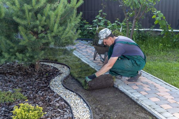 Sod Maintenance