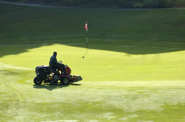 Golf Course Management