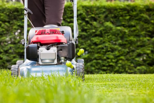 Grass Trimming Service in Tyler
