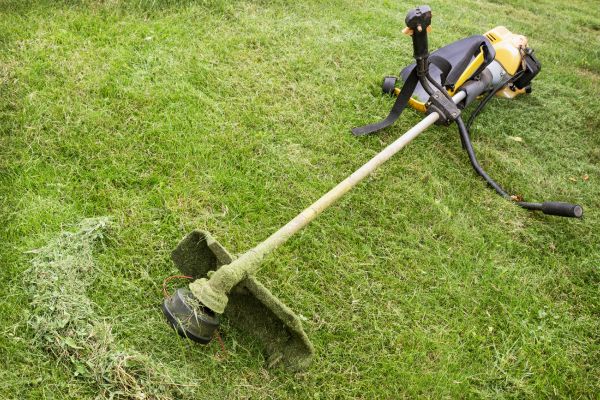 Cost of Hillside Weed Whacking in Tyler