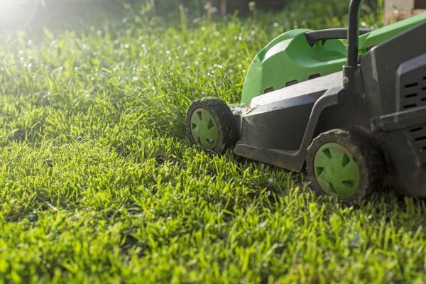 Residential Lawn Maintenance