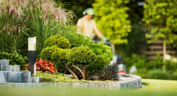 Residential Yard Maintenance in Tyler