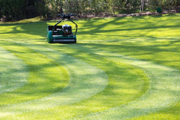 Business Lawn Mowing in Tyler