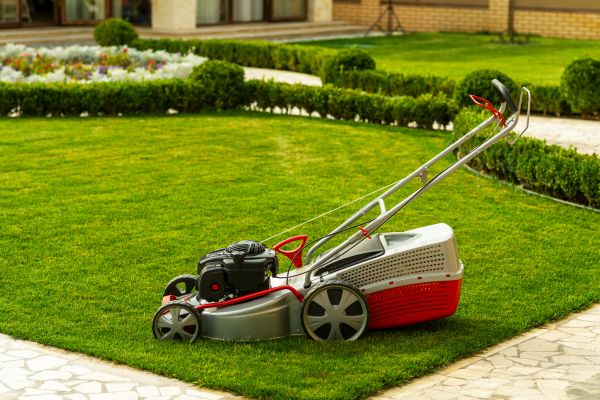 Business Grass Cutting in Tyler