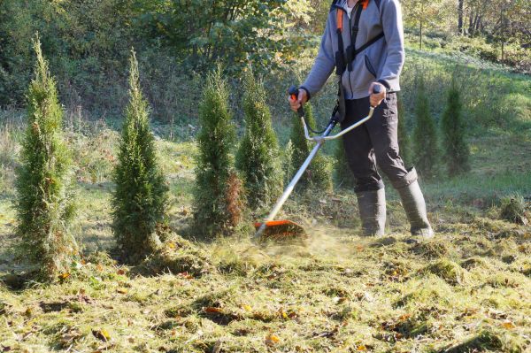 Hillside Brush Cutting