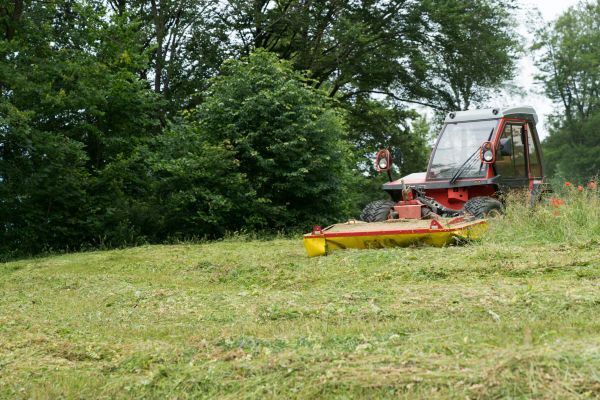 Hillside Vegetation Management