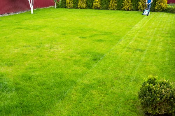 Scheduled Lawn Care