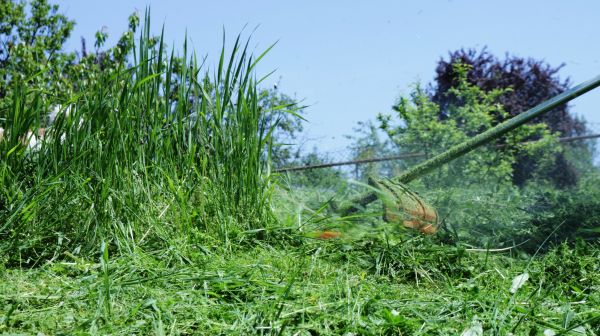 Tall Grass Cutting Service
