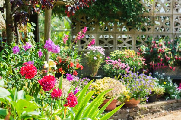 Spring Garden Maintenance