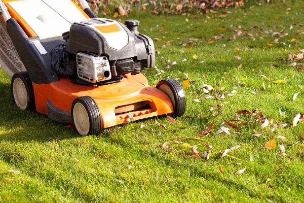 Cost of Fall Mowing in Tyler