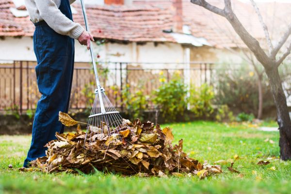 Spring Lawn Cleanup