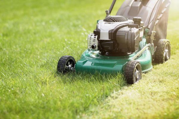 Spring Grass Trimming Service