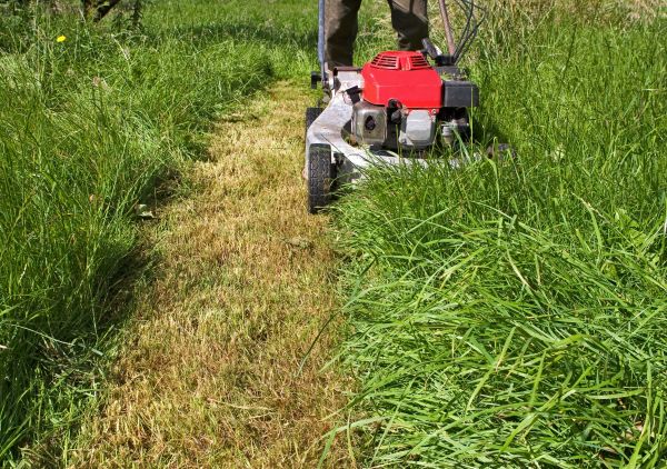 Leaf Mowing in Tyler