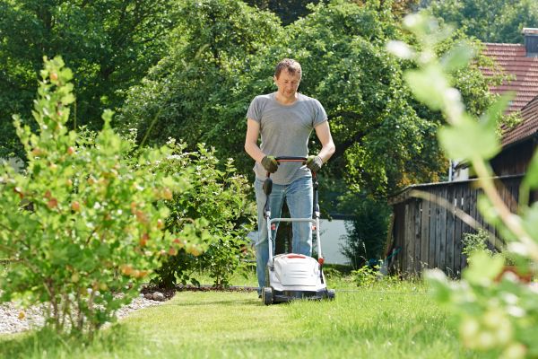 Late Season Mowing