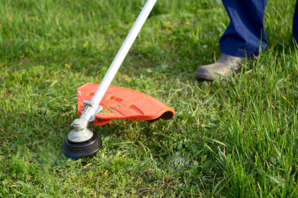 Lawn Weed Whacking Service