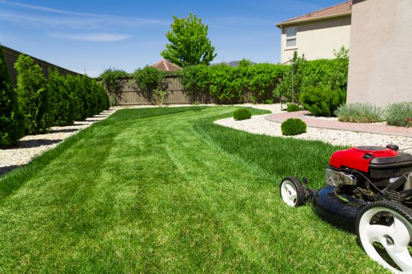 Residential Lawn Mowing in Tyler