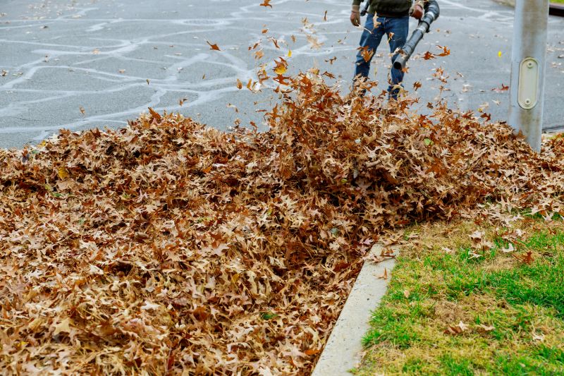 Leaf and Debris Removal