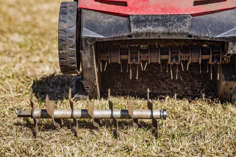 Lawn Aeration Tools