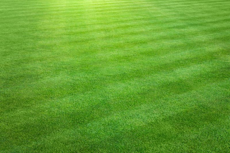 Healthy Lawn After Mowing